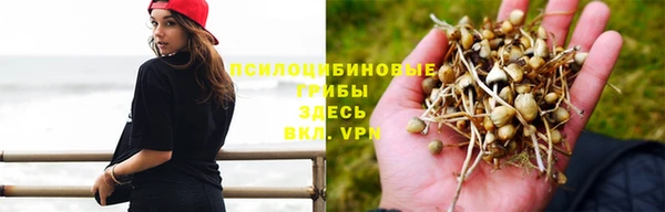 бошки Беломорск