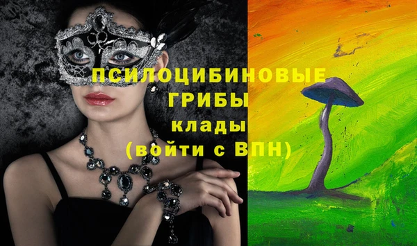 бошки Беломорск