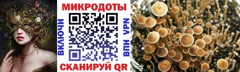 OMG как войти  Вельск  Галлюциногенные грибы мухоморы 
